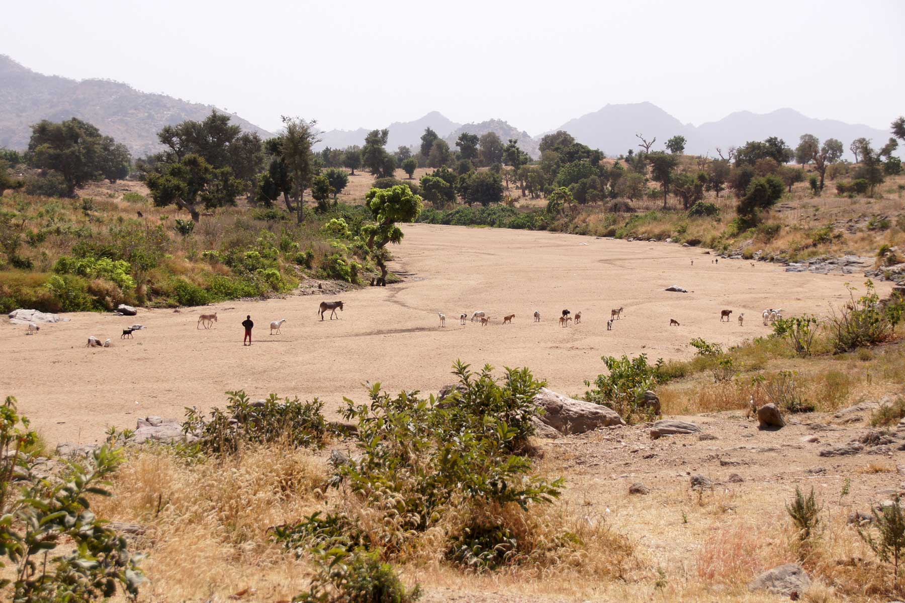 “It was a two-hour walk there, and another two hours back.” The women made the long journey twice a day, carrying as many jerry cans as they could. The water was dirty, water-borne diseases such as diarrhea and cholera were common in the camp.