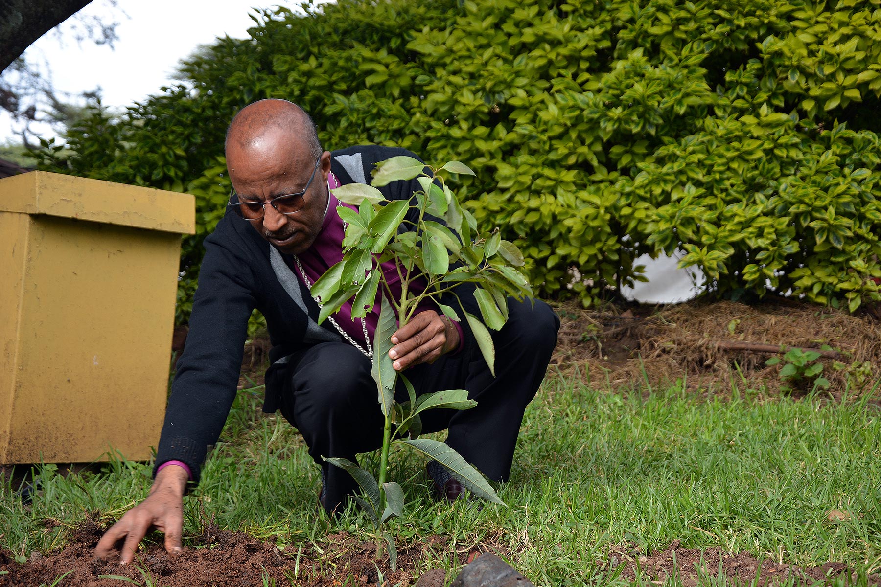 EECMY President Rev. Yonas Yigezu Dibisa plants a tree in the church compound in Addis Ababa. EECMY/Abeya Wakwoya