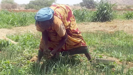 A woman works in the fields of Ouaddai Province in Eastern Chad. Photo: LWF/Allahramadji Gueldjim 