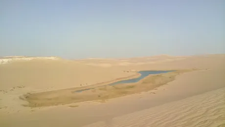 Water source in the desert near Siwa. Photo: StÃ©phane Gallay 