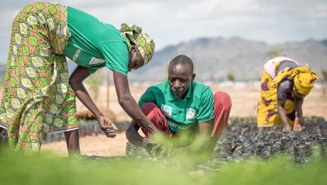 A group of refugees work in a tree nursery in the Minawao camp for Nigerian refugees. Photo: LWF/Albin Hillert 