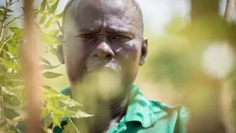 Ayuba Tada, a Nigerian refugee, serves his second year as a nursery gardener in one of 20 so-called 'green spaces' in and around the Minawao camp for Nigerian refugees. A five-year planting and harvest cycle of trees ensures wood to be used as firewood, vines for building of roofs, and a step in alleviating environmental impact in and around Minawao. Photo: LWF/Albin Hillert