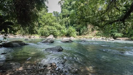 The area of San JosÃ© de LeÃ³n, MutatÃ¡, Antioquia, Colombia, is rich in clean water - a great asset, but also a threat to the community, as mining companies and other interests may enter the scene to exploit or damage the natural resource. Photo: LWF/Albin Hillert 