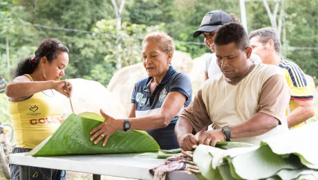 A group of ex-combatant families have purchased and now cultivate 36 hectares of land in the territory of San JosÃ© de LeÃ³n, Colombia. They now live in the emerging community, which hosts a small restaurant, various committees for community organization and development, and which cultivates the land through agriculture, poultry and fish farming. Photo: LWF/Albin Hillert 