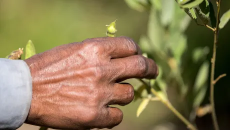 Ethiopia: Ensuring food security through training in agricultural methods suitable for a changing climate. Photo: LWF/Albin Hillert.