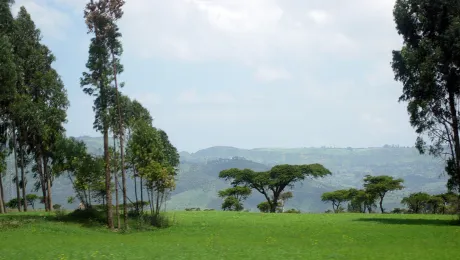 Ethiopian landscape. Photo: LWF/M. Egli