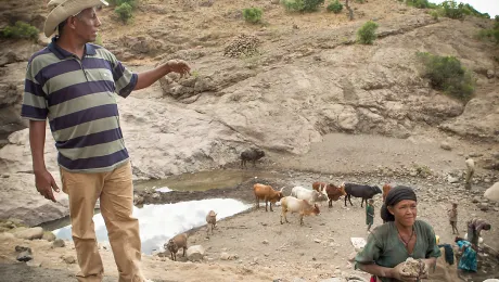 New LWF irrigation schemes will capture and divert the streams that have a higher volume of water. Photo: LWF Ethiopia