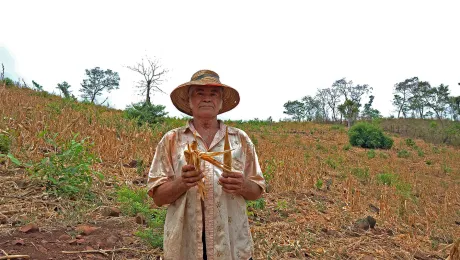 A farmer in El Salvador,Â showing the impact ofÂ prolonged droughtÂ on his crop of corn. LWF/C. KÃ¤stnerÂ 