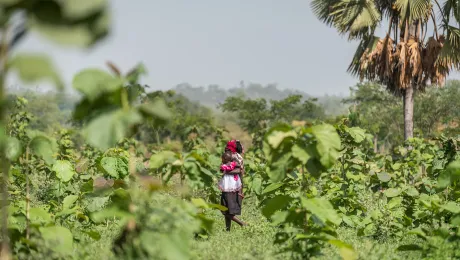 Uganda: A woman walks with her child through a tree plantation field in the Palorinya refugee settlement in the West Nile area of northern Uganda. The settlement hosts more than 128,000 refugees who arrived following the eruption of war in South Sudan in 2013. The refugees and host communities in the area receive support from the LWF World Service program in Uganda. Photo: LWF/Albin HillertÂ 