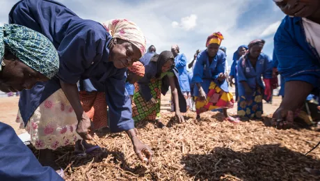 Women refugees at an LWF-run camp in northern Cameroon sorting out waste to be recycled into fuelwood. Photo: LWF/Albin HillertÂ 