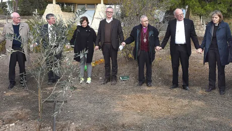 As a symbol of close ties between the ELCJHL and the LWF a delegation of the GNC/LWF planted an olive tree in Jerusalem. Photo: epd/Debbie Hill