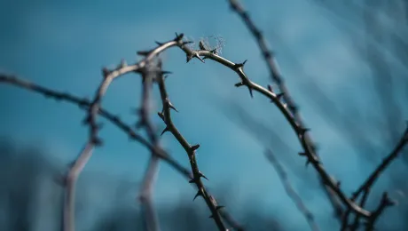 In LWF's Good Friday message Archbishop Dr Antje JackelÃ©n, Vice President for the Nordic countries, strikes up a conversation on suffering and meaning with the author of 1Peter. Photo by Dominik Kempf on Unsplash