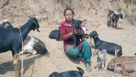 Asmita Nyasur, an indigenous woman in Nepal, used financial support provided by LWF Nepal to recover from the 2015 earthquake. Photo: LWF/Ram Sharan Sedhai