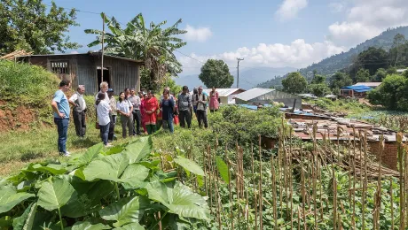 Fertile soil: community vegetable gardens in Nepal funded by the LWF not only improve nutrition but mean surplus crops can be sold at market. Photo: LWF / Albin Hillert