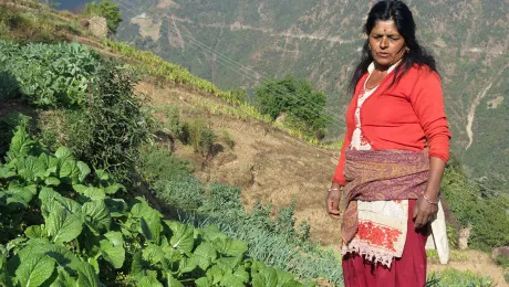 Goma Timalsina tends her vegetables. Using savings from a cooperative set up by the LWF,  Timalsina has invested in agriculture and livestock. Photo: Santosh KC, ICDO