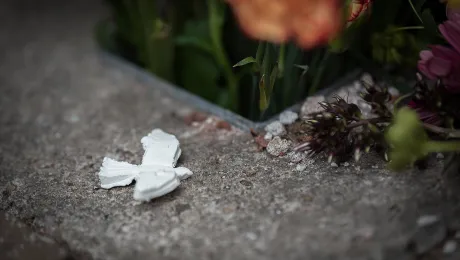 A peace dove and flowers at a monument in Amsterdam. Photo courtesy of Albin Hillert