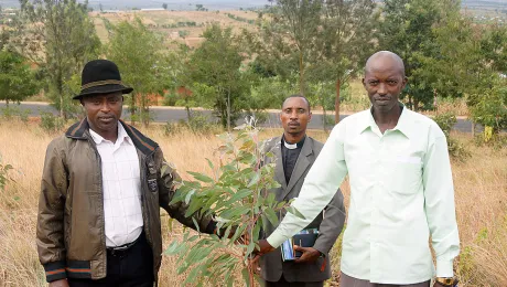 Tree plantation in the Matimba parish of the Evangelical Lutheran Church in Rwanda. Photo: LWF/J. Brummer