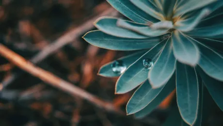 For many Indigenous people, round things in nature represent the circle of life and all creation. Often, this motive is taken up in the round shape of their dwelling places and homes. Photo: VerÃ³nica Ãlvarez via Unsplash