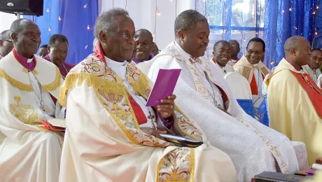 ELCT bishops at the churchâs 50th anniversary celebrations in 2013. Photo: LWF/H. Martinussen