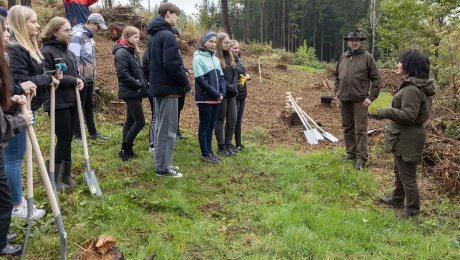 Saxony youth planting trees