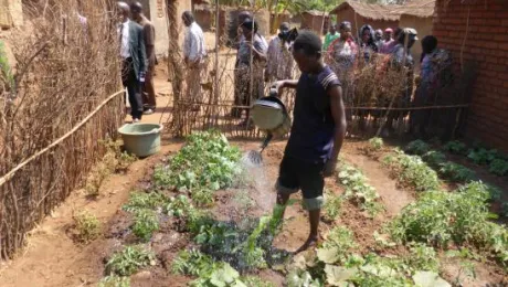 Kitchen gardens project. Photo: LWF Africa