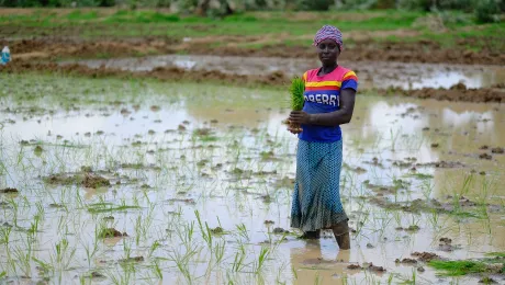 Field visit to Mandalia (Chad) on July 15, 2024: Funded by GAC, the "Gender Transformative Climate Adaptation" is implemented by LWF in the Lake Chad Basin, covering regions in both Cameroon and Chad. Photo: LWF/M. Renaux