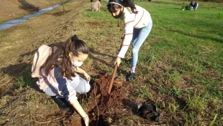 Voluntarios y voluntarias de diversas edades participaron de la iniciativa que forma parte del proyecto "Crece Selva Misionera", que pretende plantar 300 hectáreas de árboles nativos en los cauces de los ríos y arroyos de Misiones. Foto: Rubén Mohr