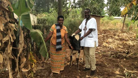 Lutheran Church of Rwanda General Secretary Rev. Prince A. Kalisa presents a heifer to Ms Mumporeze Jannet at her home near Kayonza parish, in the eastern district of Rwamagana. Photo: LCR