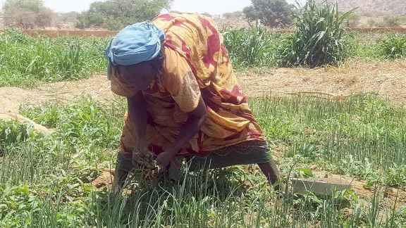 Eine Frau bei der Feldarbeit in der Provinz Quaddai im östlichen Tschad. Foto: LWB/Allahramadji Gueldjim