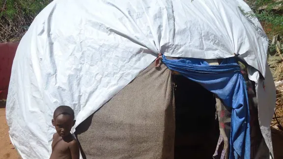 Eine provisorische Hütte dient als Unterkunft im Ifo-Lager in Dadaab. © LWF/AWD Kenia-Djibouti/F. Otieno