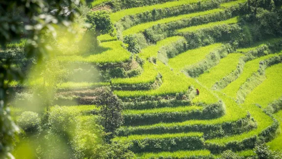 Kavre District, Nepal. Foto: LWB/Albin Hillert