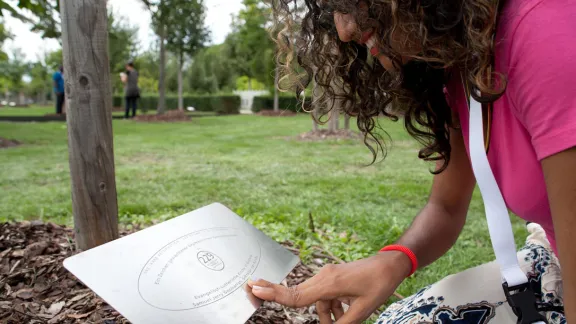 A young Workshop Wittenberg participant looks at her churchâs tree in the Luthergarten in Wittenberg. Young Lutherans are getting ready to leave the workshop keen to put climate change programs in place. Photo: LWF/Marko Schoeneberg