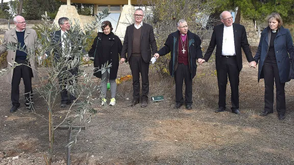 Als Symbol für die engen Verbindungen zwischen der ELKJHL und dem LWB pflanzte eine Delegation des DNK/LWB einen Olivenbaum in Jerusalem. Von links: DNK/LWB-Geschäftsführer Norbert Denecke, LWB-Regionalvertreter Mark Brown, Giorgia Kipar, Landschaftsarchitekt des Luthergartens Andreas Kipar, ELKJHL-Bischof Munib Younan, DNK/LWB-Vorsitzender Bischof Gerhard Ulrich und LWB Ratsmitglied Pröpstin Astrid Kleist. Foto: epd/Debbie Hill