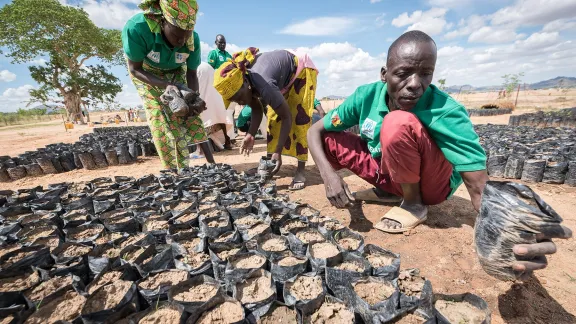 Eine Gruppe von Gärtnerinnen und Gärtnern arbeitet 2019 in einer Baumschule im Minawao-Lager für nigerianische Flüchtlinge in Kamerun. Die auf 20 sogenannten „Grünflächen“ gepflanzten Bäume liefern in einem fünfjährigen Pflanz- und Erntezyklus Brennholz, Material für den Bau von Dächern und tragen dazu bei, die Umweltbelastung in und um Minawao zu verringern. Die Flüchtlinge werden vom LWB in Zusammenarbeit mit einer Reihe von Partnern unterstützt. Foto: LWB/Albin Hillert