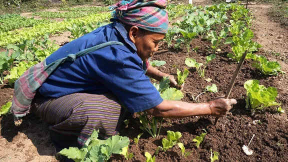 Ein Bewohner von Koutou nutzt die neuen Landwirtschaftsmethoden, um sein Feld zu bestellen. Foto: LWB Laos