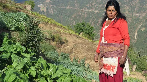 Goma Timalsina tends her vegetables. Using savings from a cooperative set up by the LWF,  Timalsina has invested in agriculture and livestock. Photo: Santosh KC, ICDO