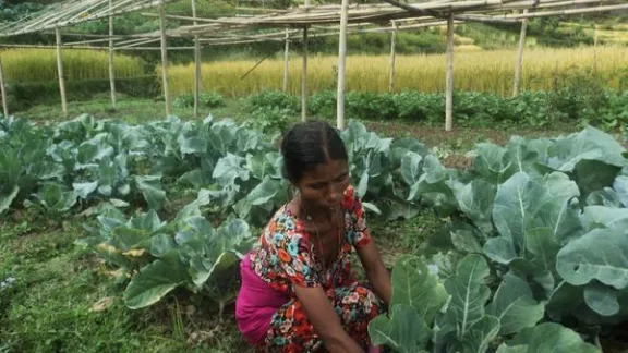 Caption: Saraswati Purkoti in her garden. Photo: LWF/ Lucia de Vries