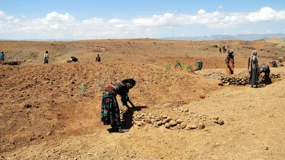 Lasta and Lalibela in North Wollo, Amhara, is one of the districts most seriously affected by drought. Photo: LWF/S. Gebreyes