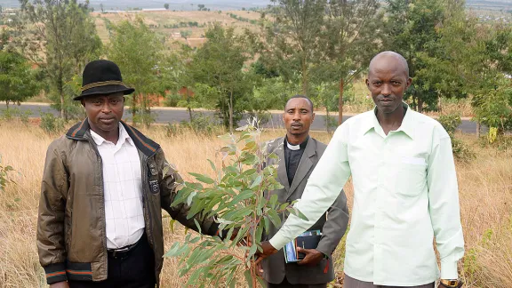 Tree plantation in the Matimba parish of the Evangelical Lutheran Church in Rwanda. Photo: LWF/J. Brummer