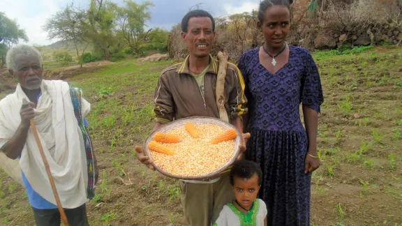 Amare Mulaw und Familienmitglieder zeigen die preisgekrönte Maissorte „Luther“. Foto: LWB/Yitbarek Frew