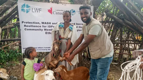 Farmers receive livestock at a distribution by LWF and partners in Maichew. Millions in the country are food insecure. Photo: LWF