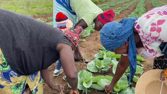 A community garden run by women in Mberengwa, Zimbabwe, where LWF supports skills development and advocacy training as part of its economic justice and women’s empowerment initiative. Photo: LWF/P. Bangoura 