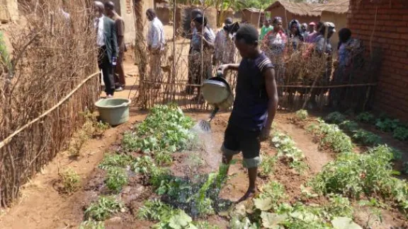 Kitchen gardens project. Photo: LWF Africa