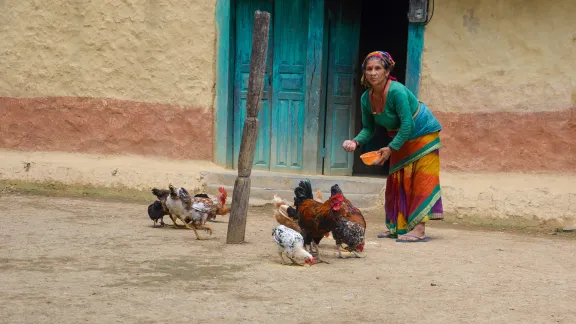 Jaisara ist der Familienvorstand – ihr Ehemann ist als Arbeitsmigrant nach Indien gegangen und an HIV/AIDS gestorben. Viele Frauen in ihrem Dorf sind in einer ähnlichen Lage. Foto: LWB/D. Lamsal 