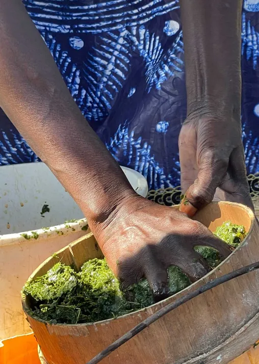 A women demonstrated the production of an insecticide made from local neem trees. Photo: LWF/ C. Kästner-Meyer